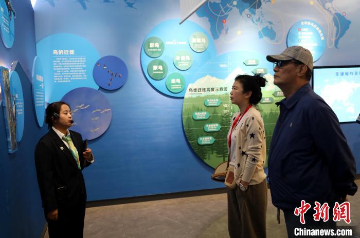 圖為臺(tái)商在祁連山國(guó)家公園生態(tài)科普館內(nèi)聆聽(tīng)講解?！⊙Φ?攝