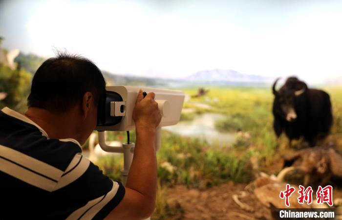 圖為臺(tái)商觀看祁連山國(guó)家公園生態(tài)科普館內(nèi)生態(tài)場(chǎng)景。　薛蒂 攝