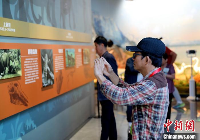 圖為臺(tái)商在祁連山國(guó)家公園生態(tài)科普館觀看墻面藝術(shù)圖文?！⊙Φ?攝
