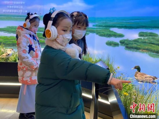 圖為學生在西寧市第一中學濕地科普宣教館內(nèi)參觀。　李江寧 攝