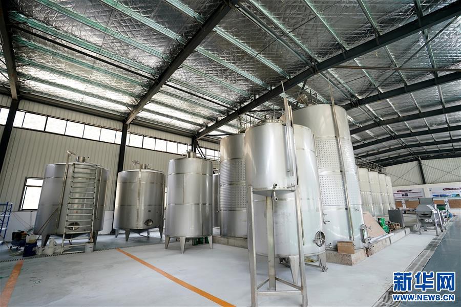 (決戰(zhàn)決勝脫貧攻堅·圖文互動)(5)西藏昌都“甜蜜”產(chǎn)業(yè)助脫貧