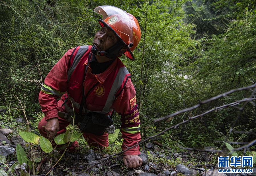 (圖文互動)(6)從坐吃山空到護林守山——西藏林芝為雪域高原獻上“綠色哈達”