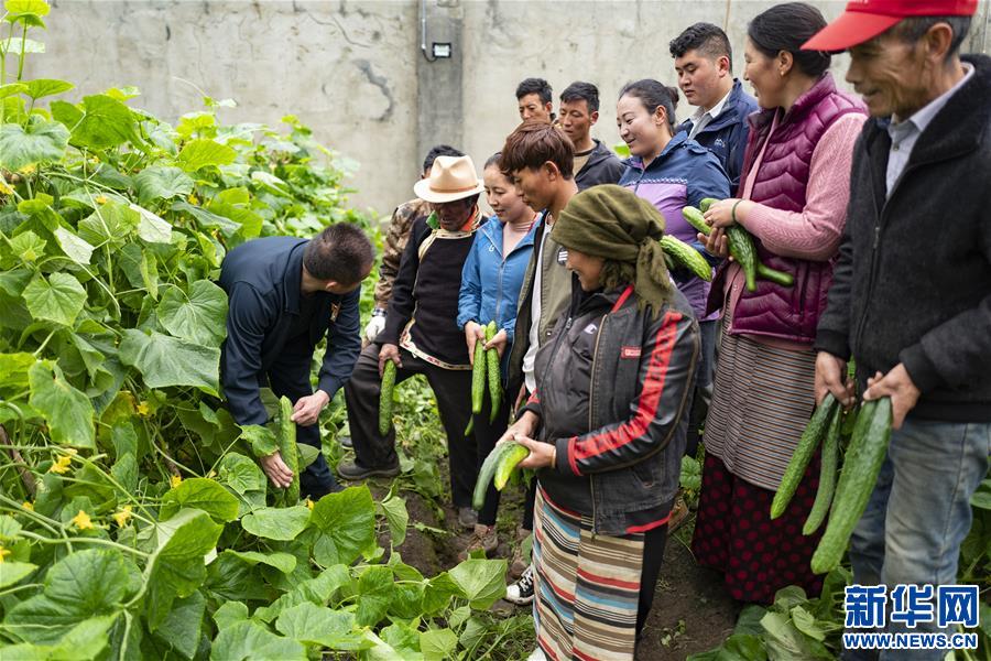 （新華全媒頭條·走向我們的小康生活·圖文互動）（9）扎西德勒，我們的新家園——西藏易地扶貧搬遷搬出幸福美好新生活