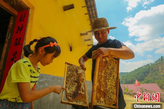 “甜蜜產(chǎn)業(yè)”讓全村致富有奔頭。洲湖鎮(zhèn)供圖