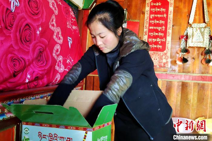 圖為通麥村村民巴桑拉姆把精心挑選的蘋果裝箱?！∝暽＠?攝