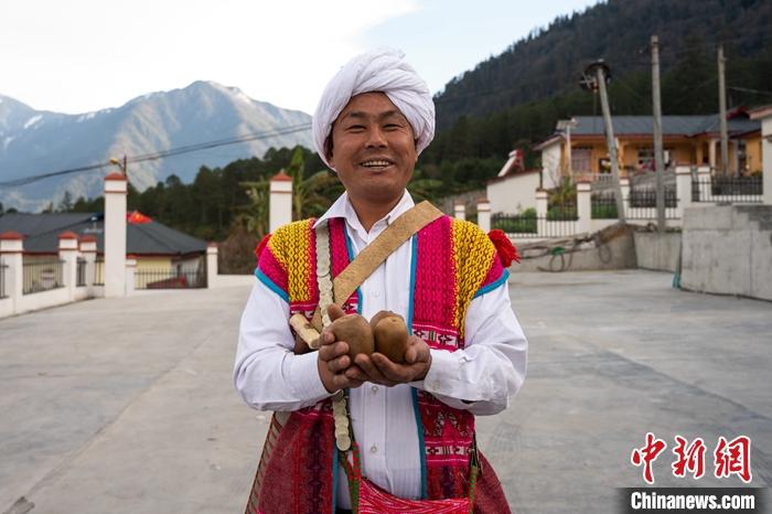 1月29日，京都村委會主任阿胖正在展示該村種植的獼猴桃。<a target='_blank' ><p  align=