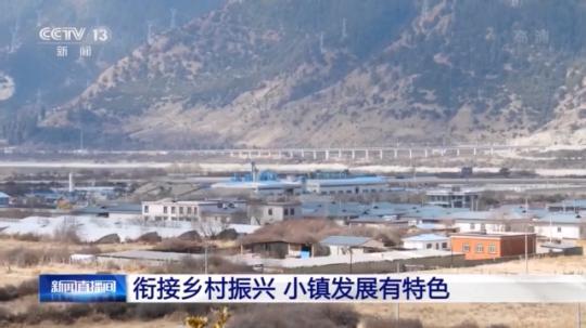 種蘑菇、養(yǎng)駱駝...。。特色產(chǎn)業(yè)助力鄉(xiāng)村振興走新路