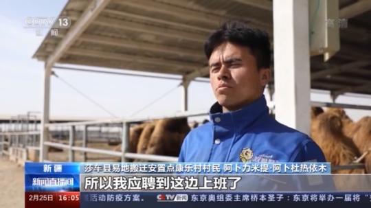 種蘑菇、養(yǎng)駱駝...。。特色產(chǎn)業(yè)助力鄉(xiāng)村振興走新路