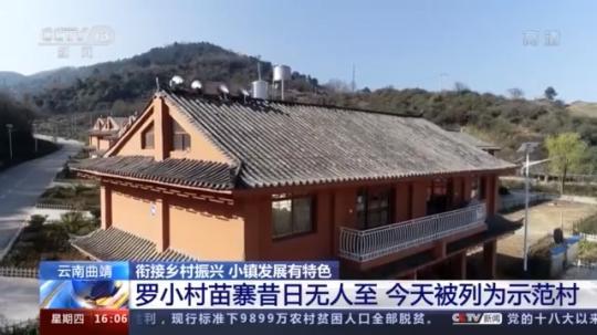 種蘑菇、養(yǎng)駱駝...。。特色產(chǎn)業(yè)助力鄉(xiāng)村振興走新路