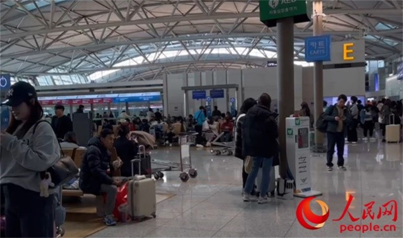 11月29日，繁忙的仁川機(jī)場(chǎng)。人民網(wǎng) 李帆攝