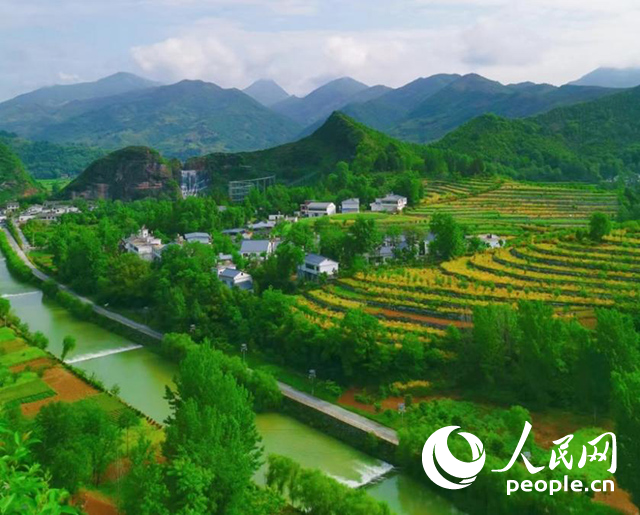 陜西商洛漫川關(guān)鎮(zhèn)民宿群。人民網(wǎng) 王麗攝