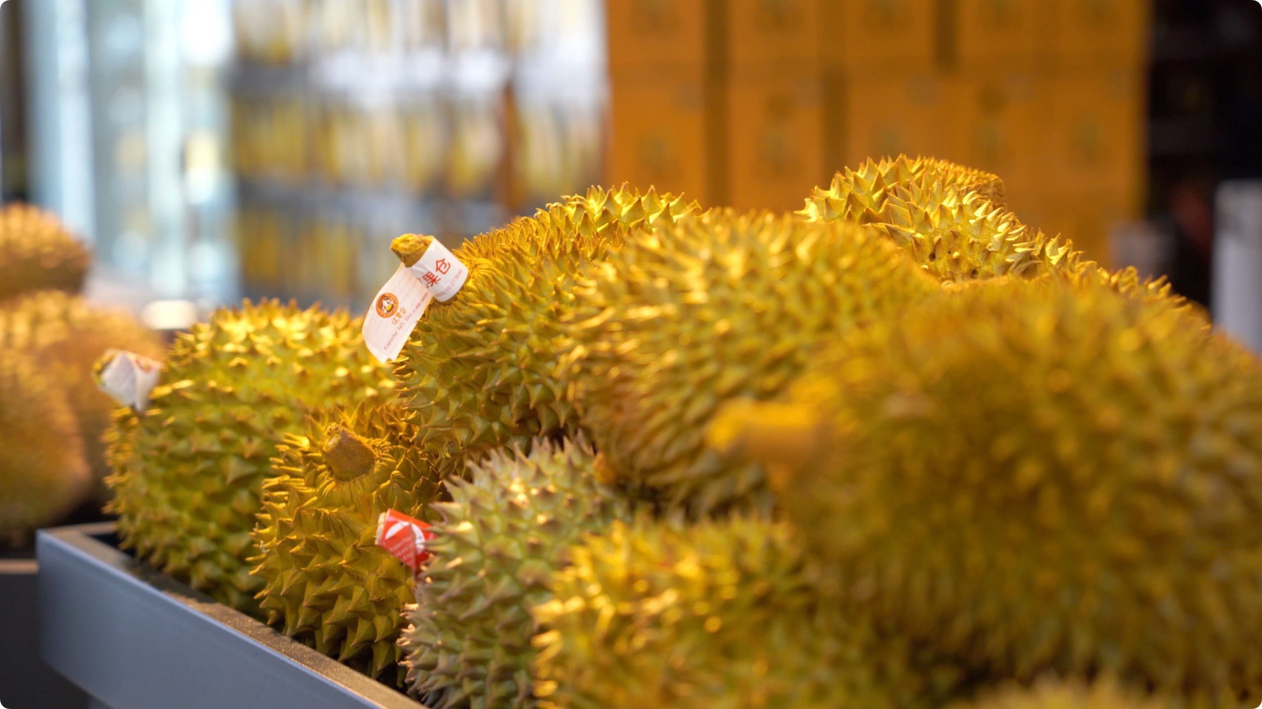 5月初，人民網(wǎng)記者申佳平攝