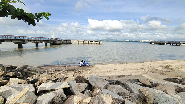 深圳紅樹林灘涂，留給了孩子們親近自然的空間。人民網(wǎng)記者 李彤?dāng)z