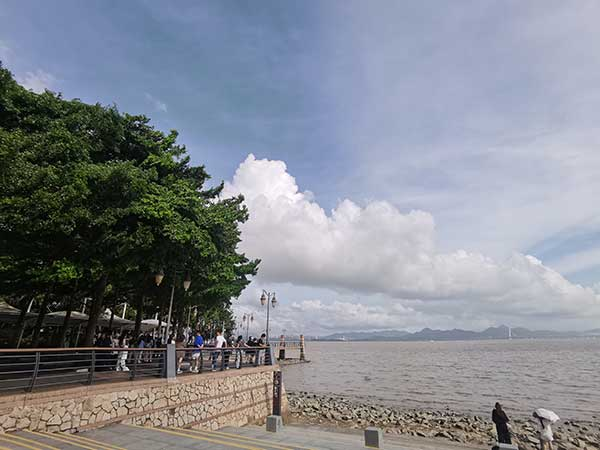 紅樹林灘涂沿線一角。人民網(wǎng)記者 張素玲攝