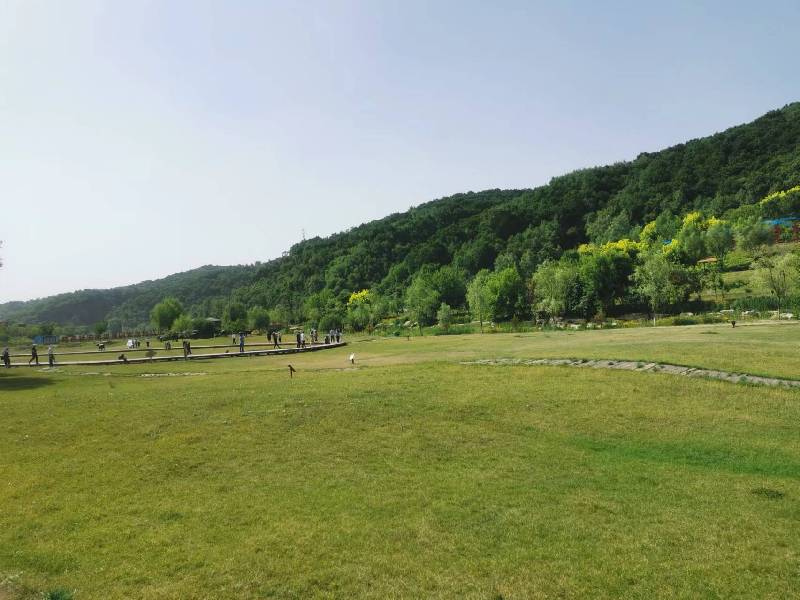 【高質(zhì)量發(fā)展調(diào)研行】延安:“紅”與“綠”交相輝映