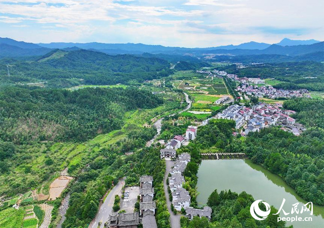 資溪縣森林資源豐富，森林覆蓋率達87.7%，有林地資源168萬畝。人民網(wǎng) 朱海鵬攝