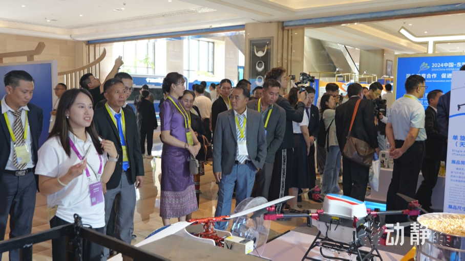 展示成果分享經(jīng)驗(yàn)，中國—東盟教育交流周深化合作共創(chuàng)未來！