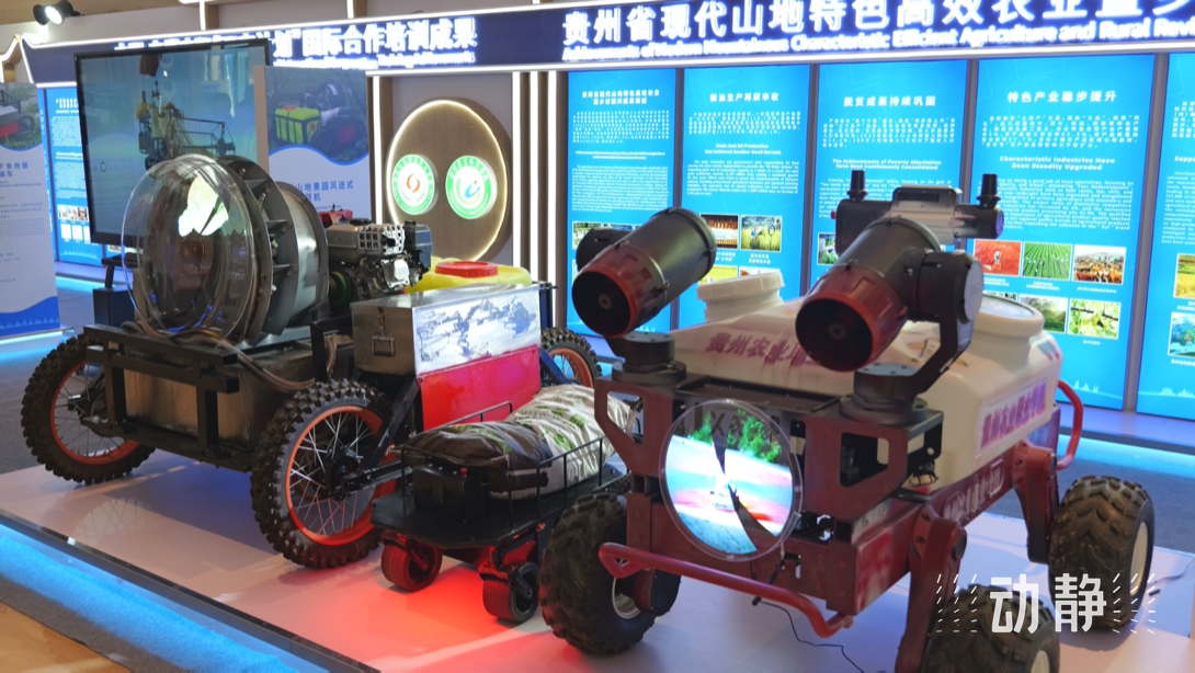 展示成果分享經(jīng)驗(yàn)，中國—東盟教育交流周深化合作共創(chuàng)未來！