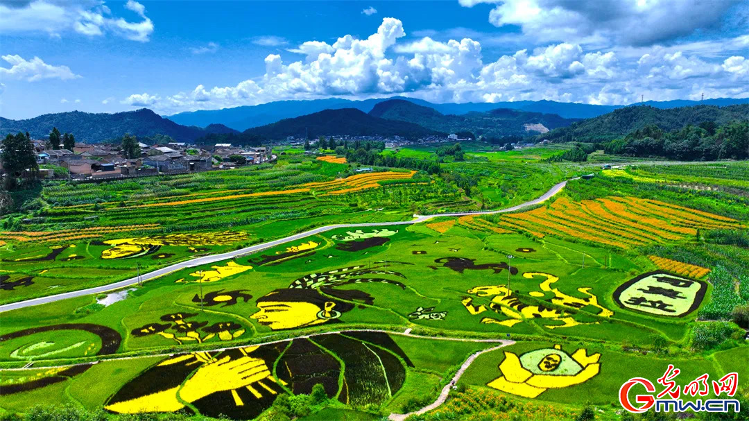 云南清水：延伸公共法律服務(wù)觸角，讓普法與民族團結(jié)進步互促共融