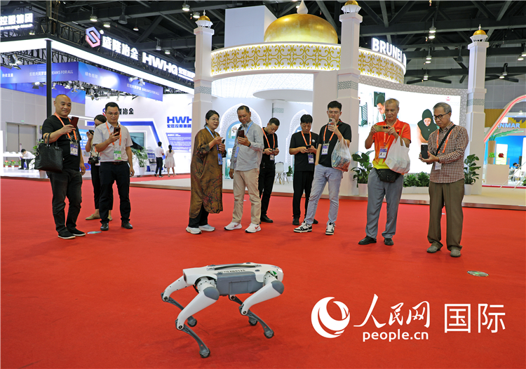 東博會(huì)上，觀眾正在參觀一只機(jī)器狗。綠色能源、新能源汽車、綠色農(nóng)產(chǎn)品等成為本屆東博會(huì)觀眾關(guān)注的焦點(diǎn)。人民網(wǎng)記者 趙益普攝