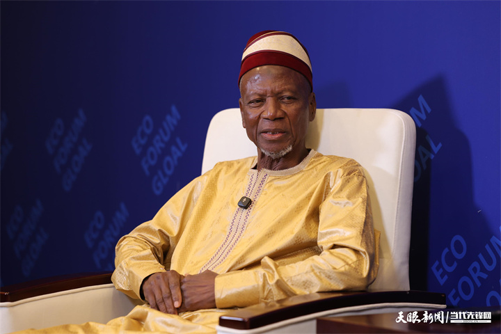 幾內(nèi)亞全國過渡委員會(huì)第二副主席 塞尼·法西內(nèi)·西拉.jpg