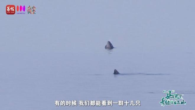 “縣”在起筆 青綠繪江山 | 江灣沐曉：褪去“銹色”走“金線”，繡出生態(tài)與產業(yè)“雙面錦”