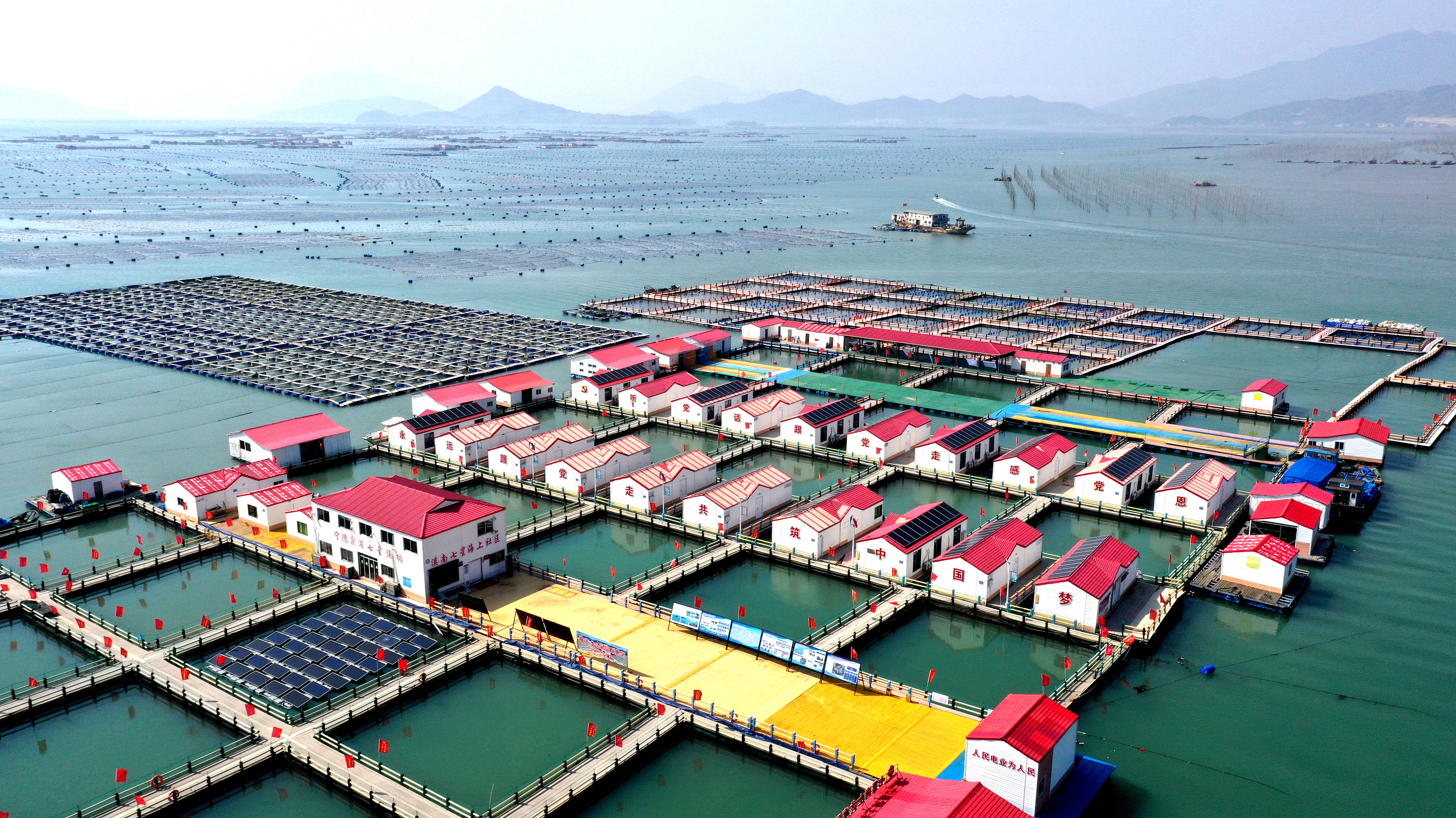 2024年3月20日，福建省寧德市，霞浦縣溪南鎮(zhèn)七星村漁排養(yǎng)殖示范區(qū)，漁民駕駛養(yǎng)殖船進(jìn)行海參養(yǎng)殖作業(yè)。