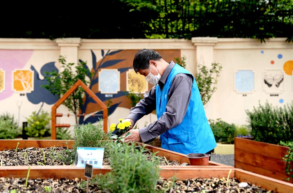 上海市長(zhǎng)寧區(qū)虹旭小區(qū)居民在整理改造社區(qū)花園。居民們把堆肥箱里發(fā)酵出來(lái)的“綠色材料”和土壤拌在一起鋪在種植箱中（2020年4月22日攝）。新華社記者 張建松 攝