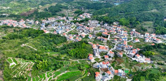 軍營村俯瞰。人民網記者 陳博 攝