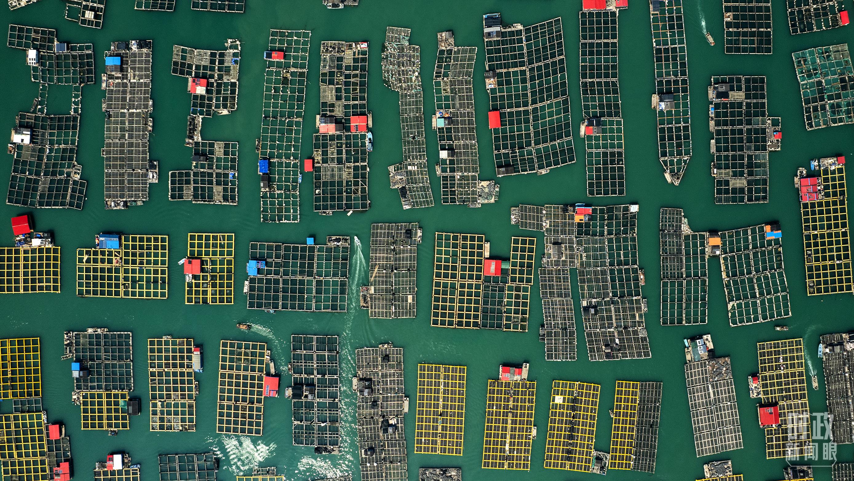 △澳角村。（總臺記者李晉拍攝）