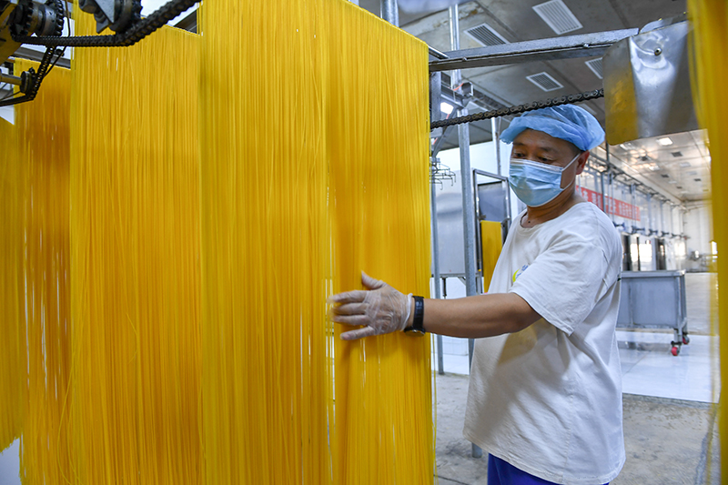 2024年1月25日，在吉林省公主嶺市的一家公司車間，工人查看玉米面條生產(chǎn)情況。
