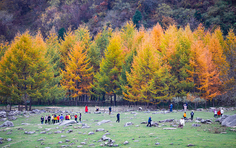 2023年10月27日，深秋時節(jié)的陜西秦嶺太子嶺漫山紅黃、色彩交織，進(jìn)入最佳觀賞期。