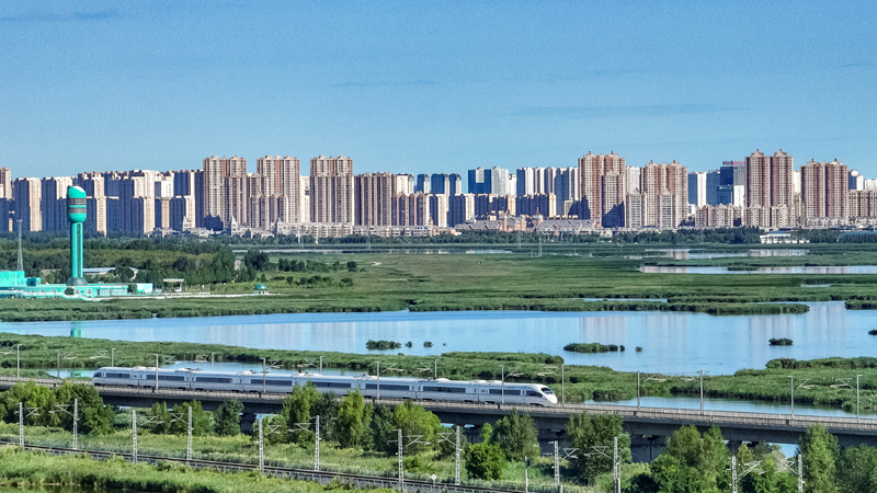 2025年8月17日，一列動車組列車駛過大慶東站。