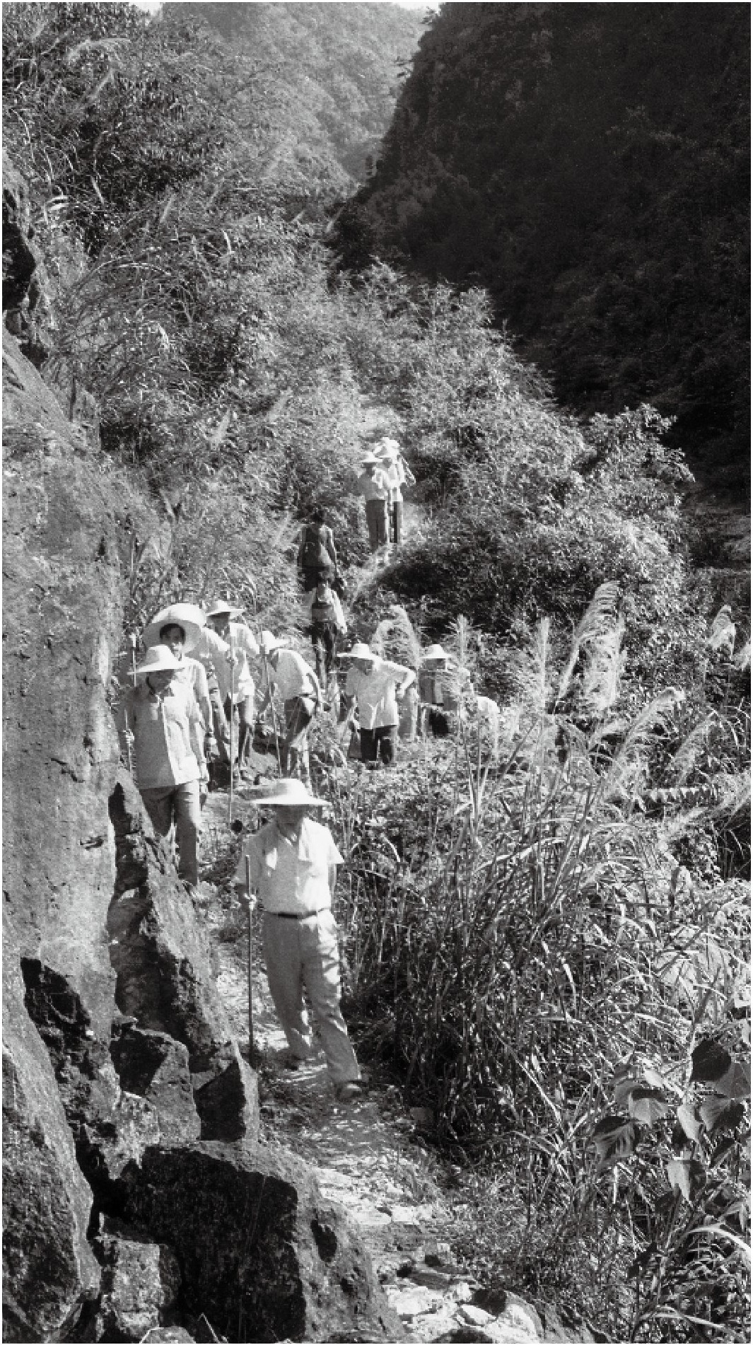 1989年7月，習近平一行到壽寧縣下黨鄉(xiāng)調(diào)研。