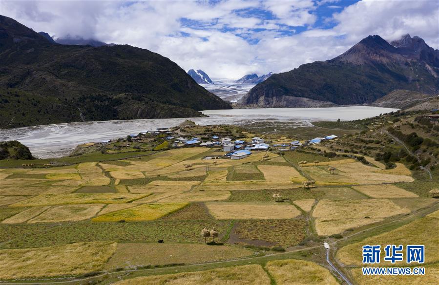(社會(huì))(1)西藏:冰川腳下的秋收
