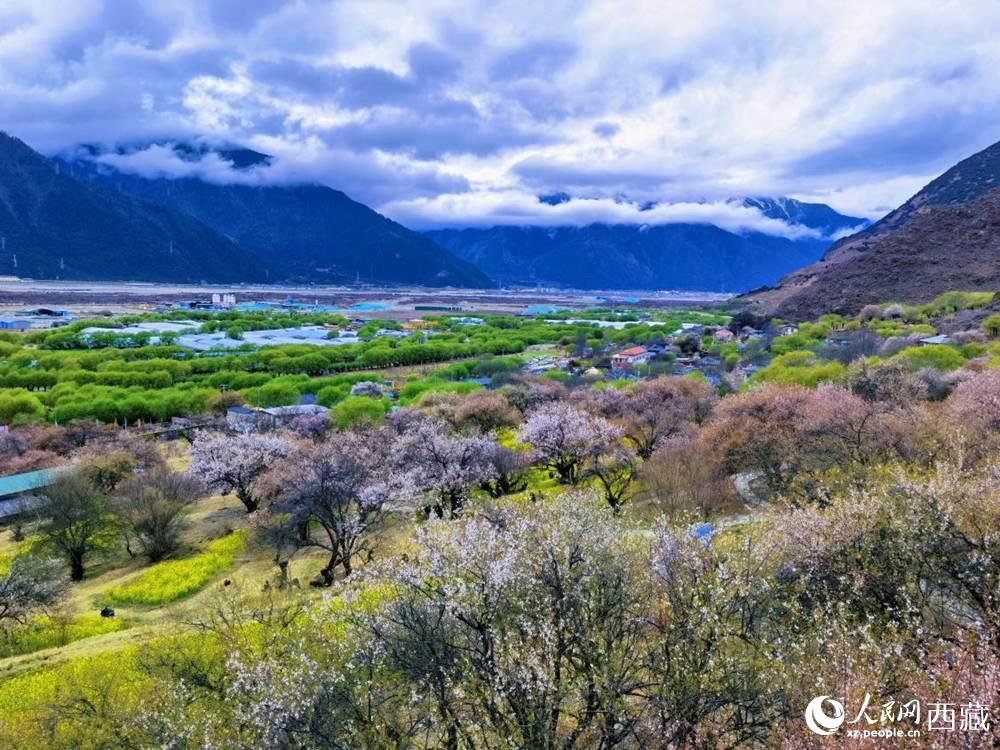 桃花從中的“童話小鎮(zhèn)”。人民網(wǎng) 李海霞攝