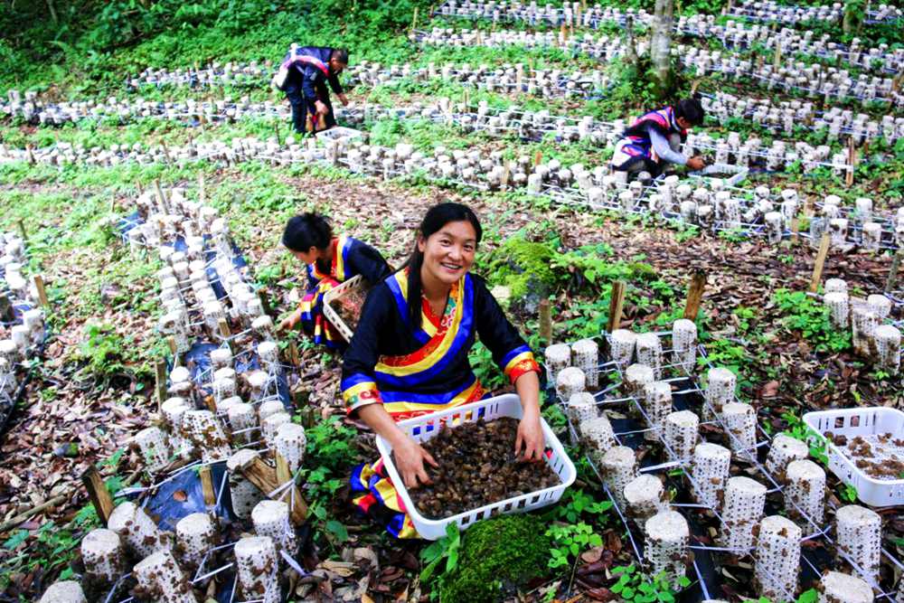 喜獲豐收展笑顏。次仁央宗攝