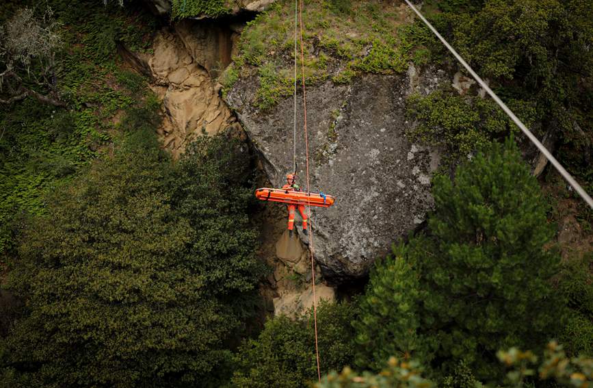 叢林中的橙色身影。西繞拉翁攝
