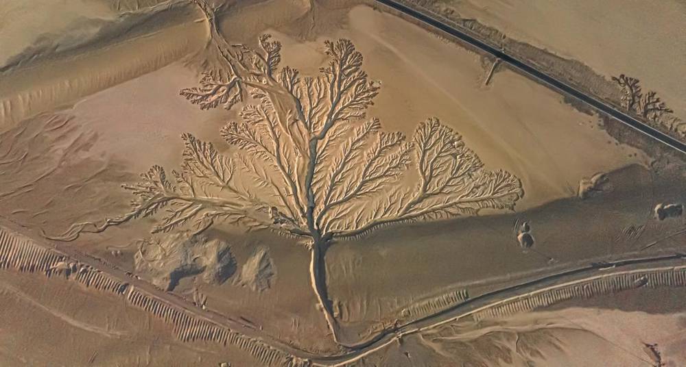 壯觀的“大地之樹”。邊巴多吉攝