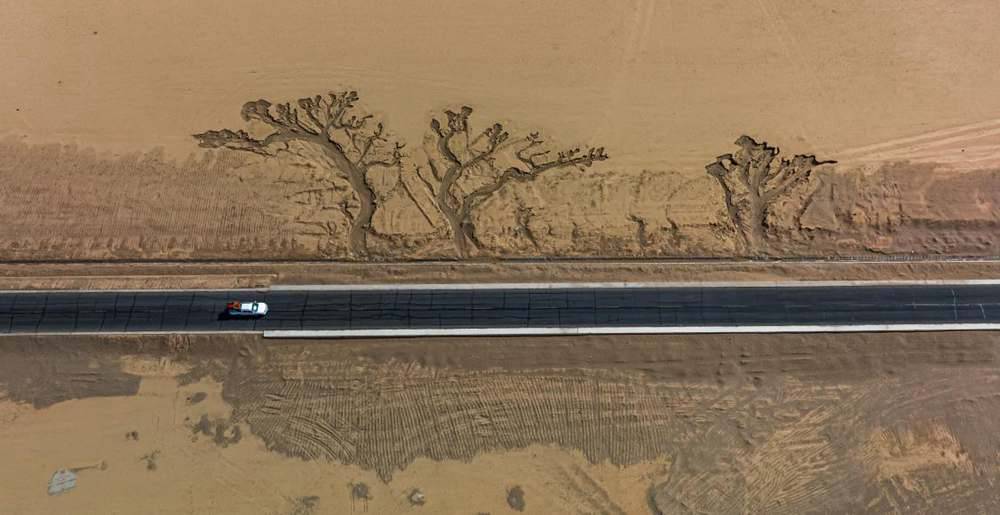 位于國道216沿線的“大地之樹”。邊巴多吉攝