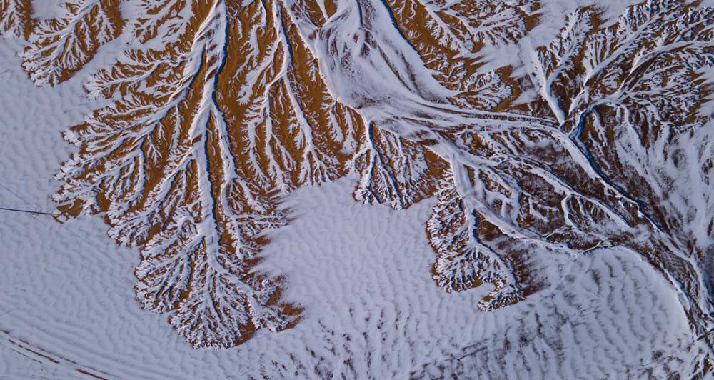 栩栩如生的枝干。邊巴多吉攝