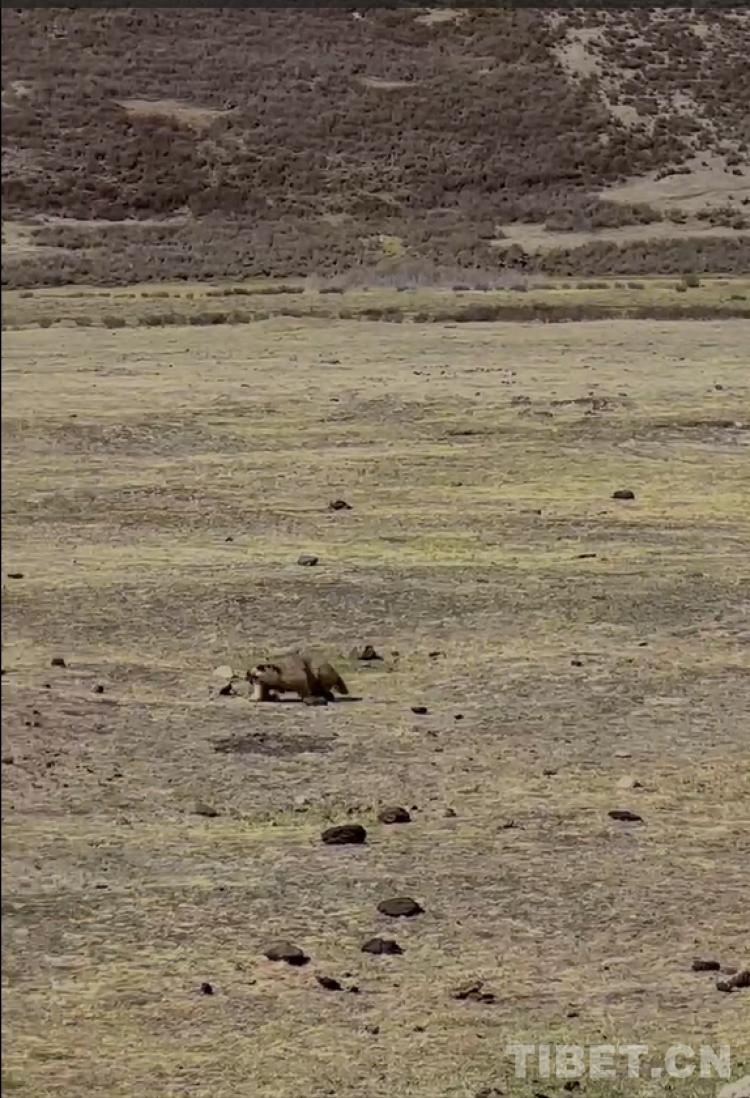 微信圖片_20230608113324.png 微信圖片_20230608113324.png