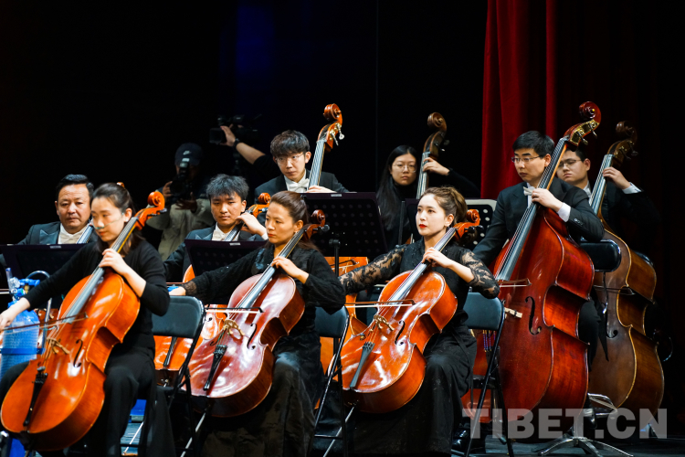 音樂會2.jpg 音樂會2.jpg