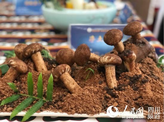 雅江松茸(圖片由雅江縣委宣傳部提供)