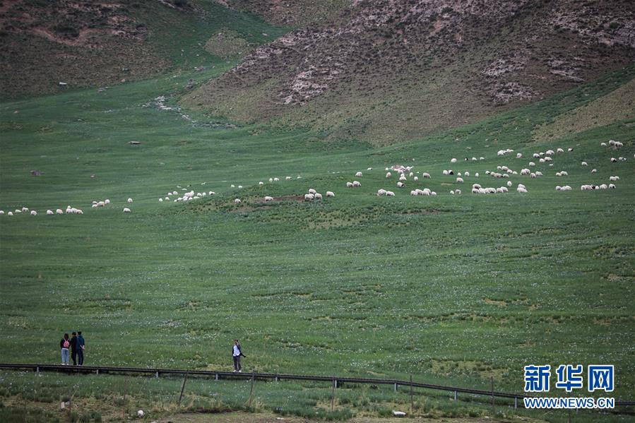 (美麗中國(guó))(3)祁連山下冰溝河 水草豐茂美如畫(huà)