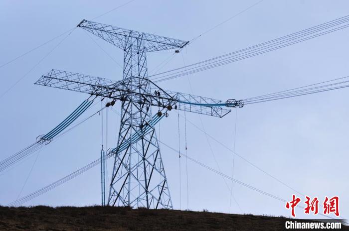 高原藏區(qū)電力線路建設(shè)者：高寒缺氧、扎刺掛彩是常事