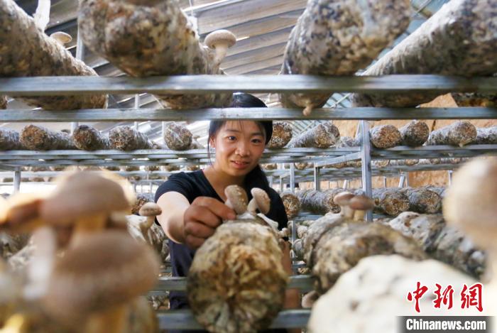 甘肅天?！跋愎椒蚱蕖毕律饺氪ǎ捍笈锢镉板X景”