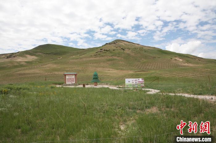 四川省阿壩州若爾蓋縣草原沙化治理后。若爾蓋縣林業(yè)和草原局供圖