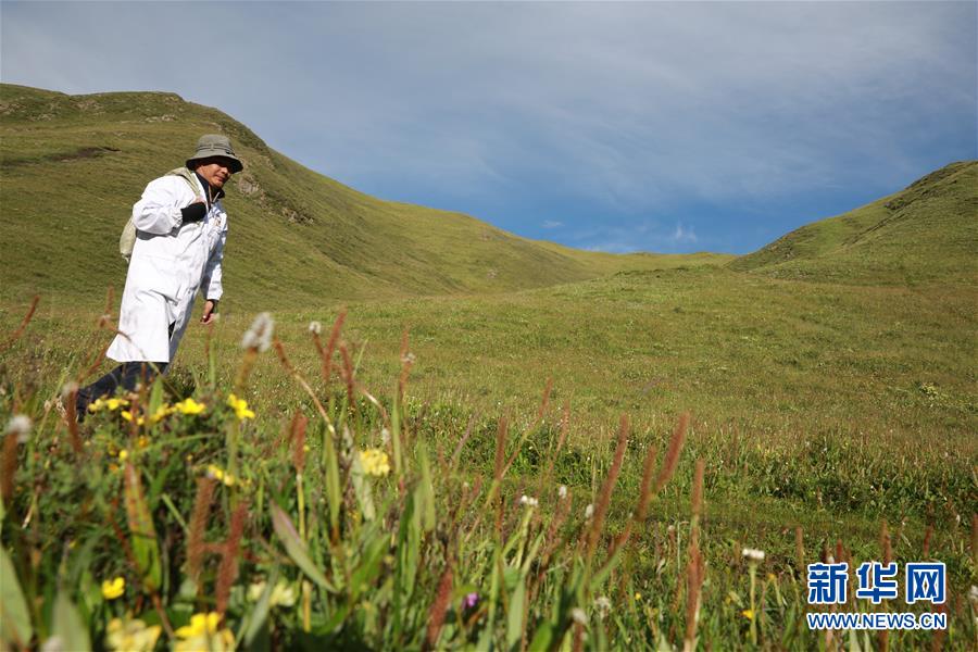 (社會)(4)夏日采藥季