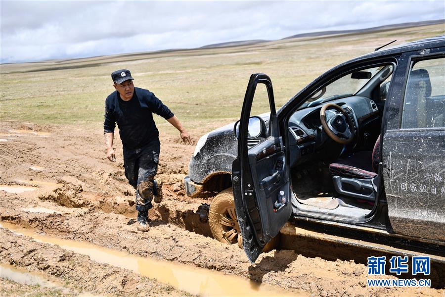 （圖文互動）（3）記者手記：可可西里，“挪”向“藏羚羊大產房”的14個半小時